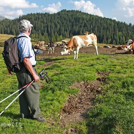 Casa Mariani-tortoi Apartamento