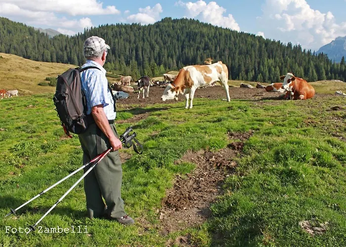 Casa Mariani-tortoi 아파트
