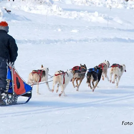 Casa Mariani-tortoi Candide